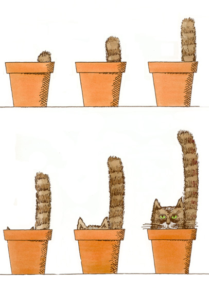 Growing a cat 