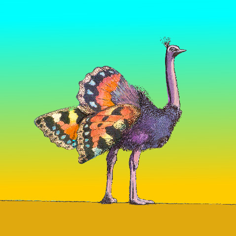 GMOs ostrich